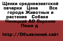 Щенки среднеазиатской овчарки › Цена ­ 1 - Все города Животные и растения » Собаки   . Ненецкий АО,Верхняя Пеша д.